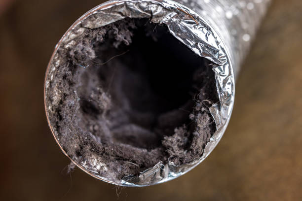 Best Home Air Vent Cleaning  in Quincy, MA